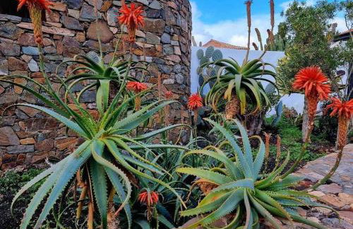 Air-conditioned flat Casa Freesia Caleta de Fuste - Foto 64