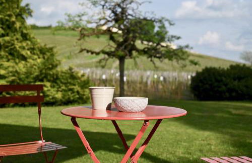 Vue sur les Vignes du Château La Gaffelière - Saint-Émilion Grand Cru - Foto 7