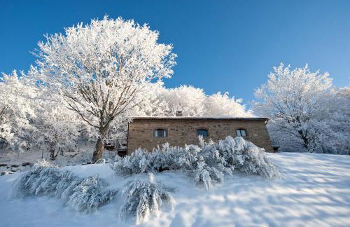 Agriturismo Del Cimone - La Palazza - Photo 53