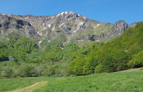 GÎTE GUERY - Foto 26