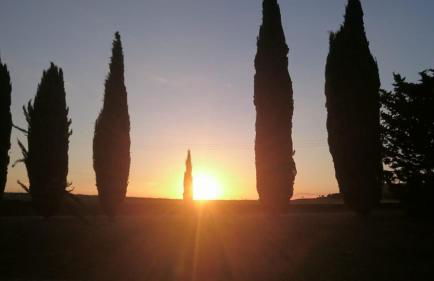 Agriturismo La Mirandola - Foto 14