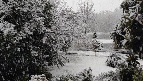 Il nido dei cigni - Foto 2