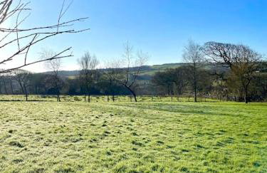 The Cowshed - Cottage in Cornwall - Foto 17