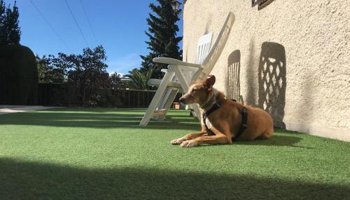 Villa Jazmín - Foto 5