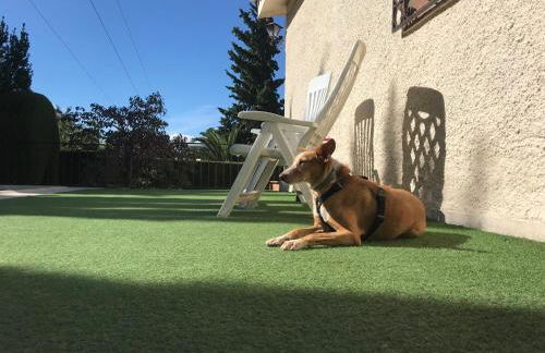 Villa Jazmín - Foto 5