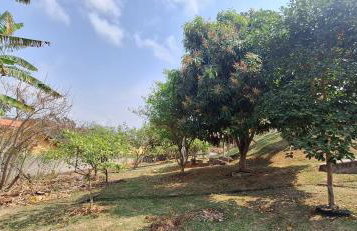 Chácara Terrinha das Flores - Foto 10