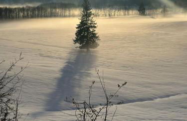 ALPEN WOHLFÜHLQUARTIER - Foto 27