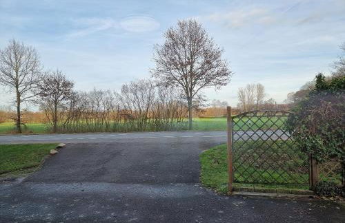 Gästehaus Grunewald Bed & Breakfast - Foto 50