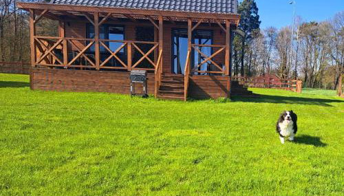 Domki Na Wzgórzu - domek nr 1 - Foto 5