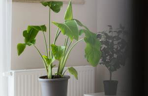 71m2 Apartament Superior z Tarasem, Ogródkiem i Widokiem na Góry, Zachód Słońca, Parking - Kłodzko - Przyjaciół Ziemi Kłodzkiej, Centrum Kotlina Kłodzka - Foto 6