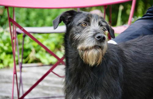 Gut Kalkhäuschen, ein Ort mit Geschichte - Foto 40