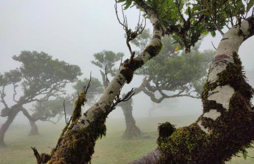 CASA PANORAMA SOL- NEW VILLA WITH HEATED SALTWATER POOL and FANTASTIC SEA VIEW - Foto 34