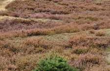 de lüt Ferienhof Jameln - Foto 40