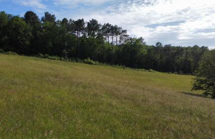 La Ferme de Belbouys - Foto 47