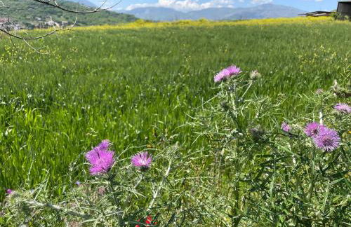 GArt House Holiday Home - Foto 25