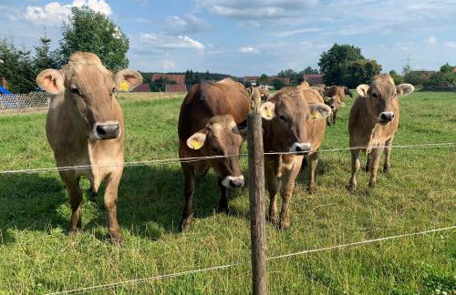 Apartment Ihm - Foto 44