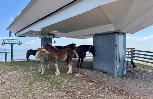 Residencia Pista Llarga - Foto 71