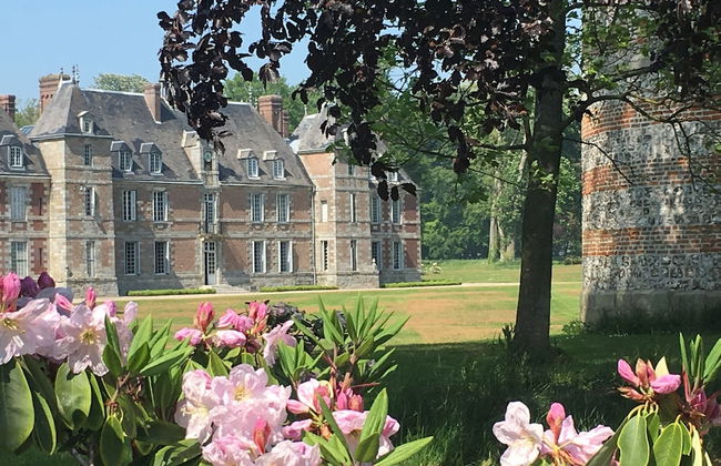 Chateau de Janville - Foto 1