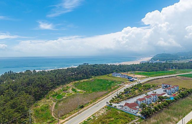 Wando Sol Beach Pension - Foto 40