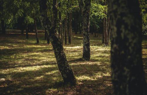 Luxury Villa Četiri Hrasta - Foto 20