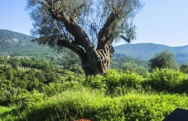 Agriturismo Murikè - Foto 16