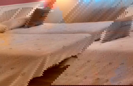 Casa Laiglesia - Foto 13