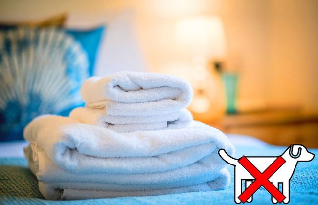 St. Tinney Farm - Photo 42