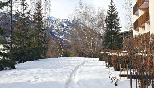 L’ALPIN AU PIED DES PISTES ET COMMERCES - Foto 4, Garden