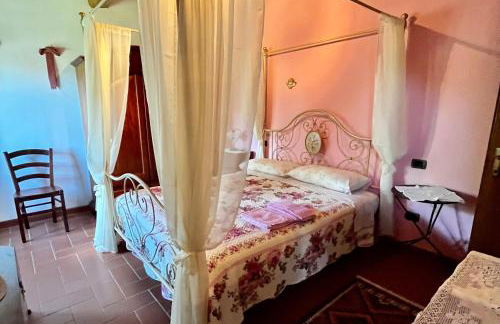 Casa Tommi - Toscana - Foto 12