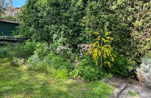 Idyllisches Apartment am Berliner Stadtrand - Foto 14