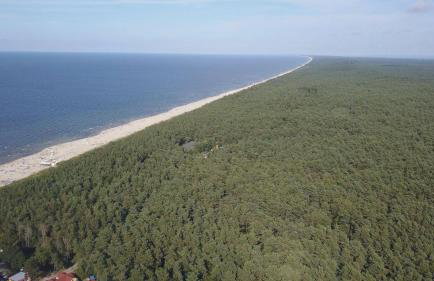 Bursztynowy Apartament - Photo 15