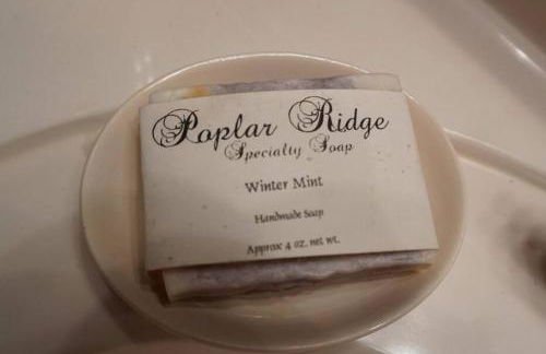 UNQUESTIONABLY the BEST VIEWS in North Georgia - Photo 44