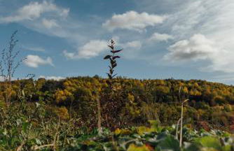 Alojamiento Turístico La alegría de la huerta - Foto 39