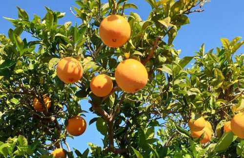 Holiday Home Casa Geminis 1 mit Garten und Meerblick by Interhome - Photo 31