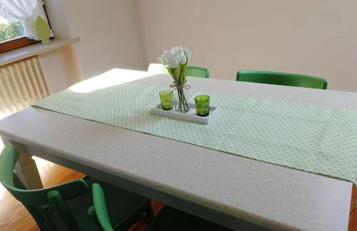 I tulipani - Foto 17