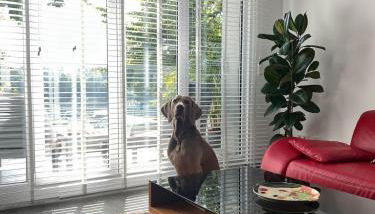 Modernes Wasserfront Wohnung, Terrasse, Parkplatz - Foto 5, pet friendly