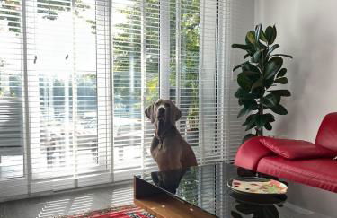 Modernes Wasserfront Wohnung, Terrasse, Parkplatz - Foto 5