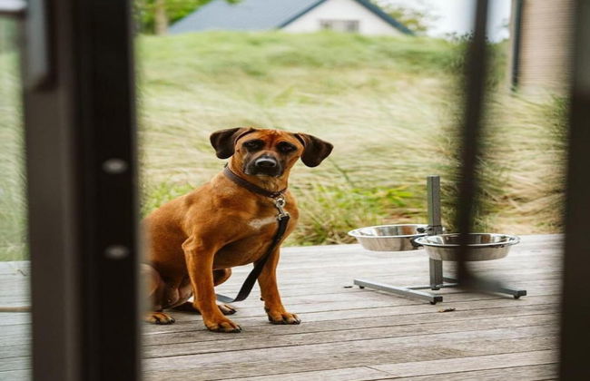 Detached Single Story Holiday Home Near the Sea - Photo 32
