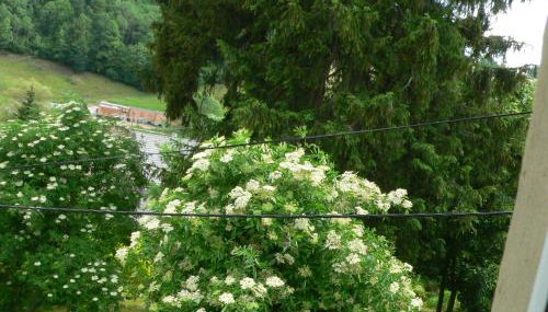 STARA PLEBANIA - Foto 3