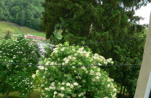 STARA PLEBANIA - Foto 3