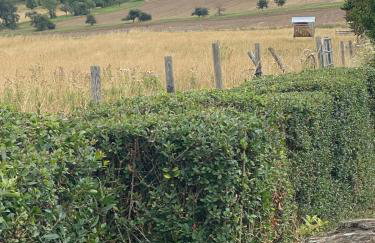 Paradies in der Vulkaneifel mit Panorama-Blick - Foto 41