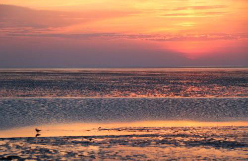 Ferienwohnung Sonnenwohnung - Foto 18