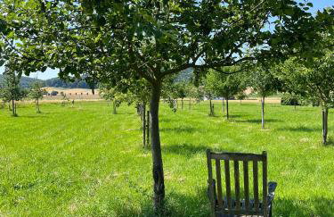 Time out in the Wiehengebirge - Foto 43