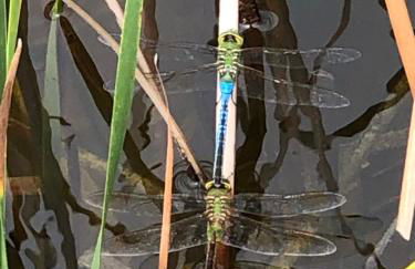 Fishers Of Men Ranch Home - Photo 63