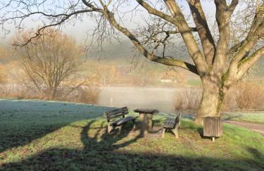 FeWoMo Stilvolles EG Appartment, Brauneberg, 4 Pers, Boots Slipanlage, Moselradweg, Seniorengerecht - Foto 22