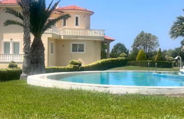 Psatha Villa's - Foto 14