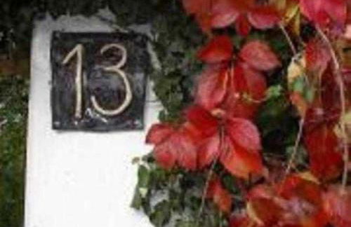 Ferieninsel an der Dreisam - Foto 21