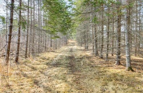 Tenstrike Lake House on 60 Acres Hike and Fish! - Foto 24