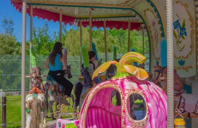 Casa da Petisqueira 88, Paredes - O Porto - Foto 37