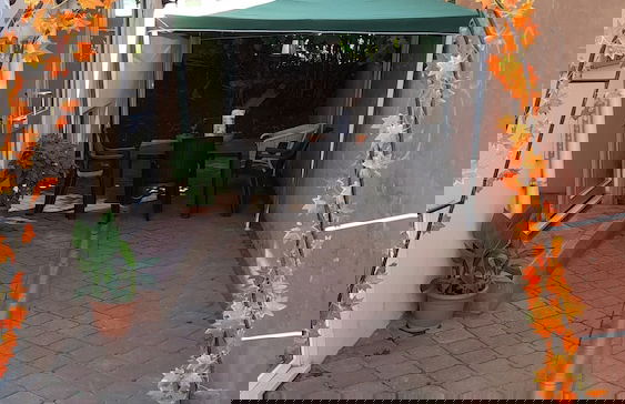 Elit Kurdal Apartment - Foto 31